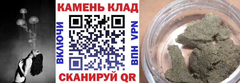 где найти наркотики  Северская  ГАШИШ VHQ 