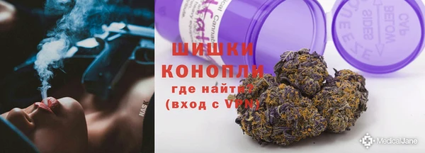 шишки Горняк