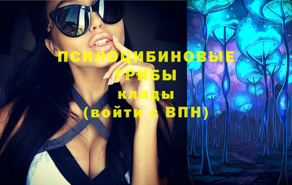 молекула духа Вязники