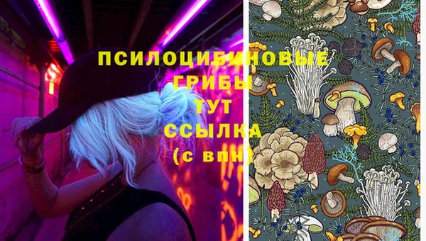 молекула духа Вязники