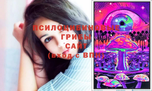 молекула духа Вязники